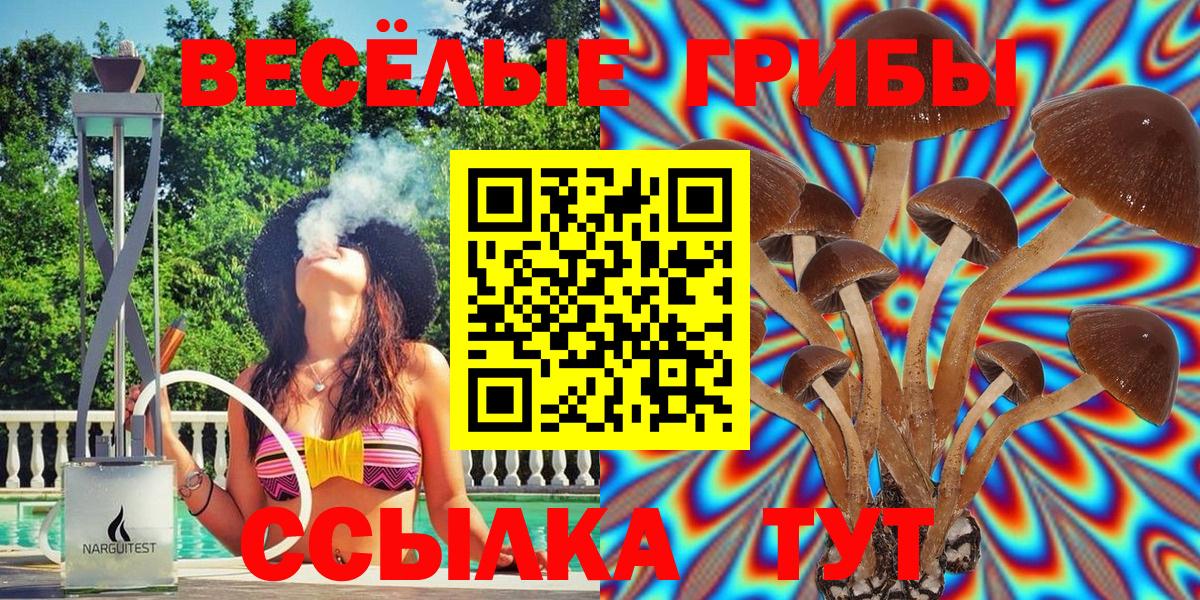 купить   Псилоцибиновые грибы Magic Shrooms  Вход с VPN  Ипатово 